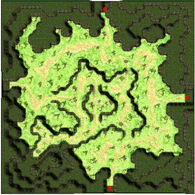 gef_fild08