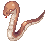Anacondaq