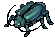 Thief Bug Male