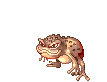 Poisonous Toad